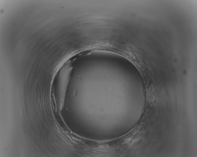 X0000068820196200605121324