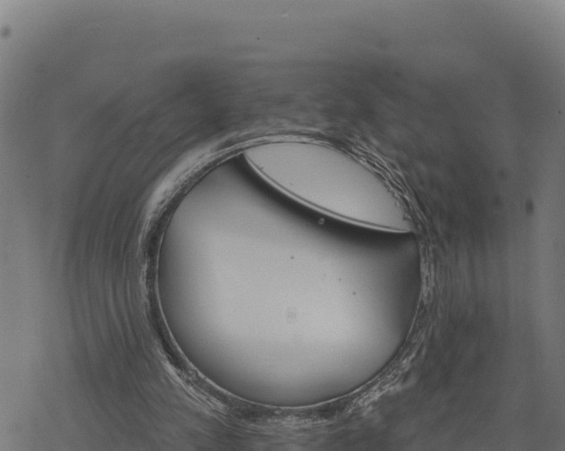 X0000068820197200605121324