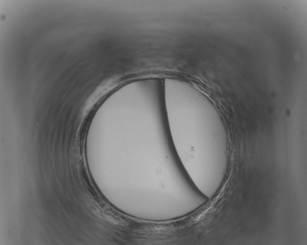 X0000068820198200605121324