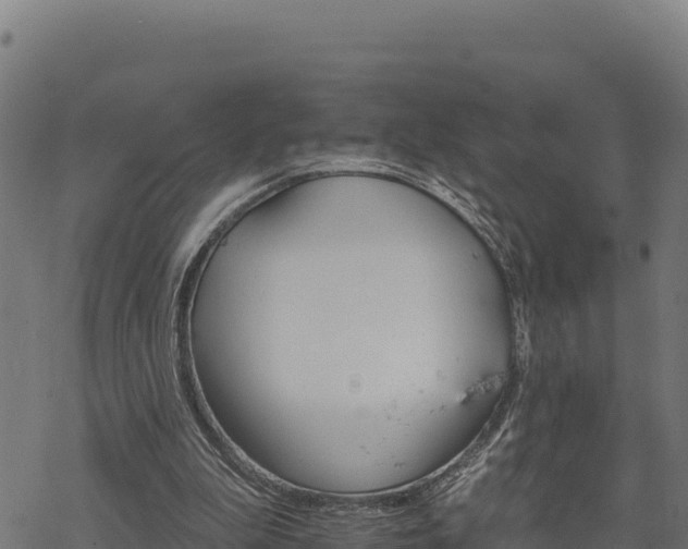 X0000068820199200605121324