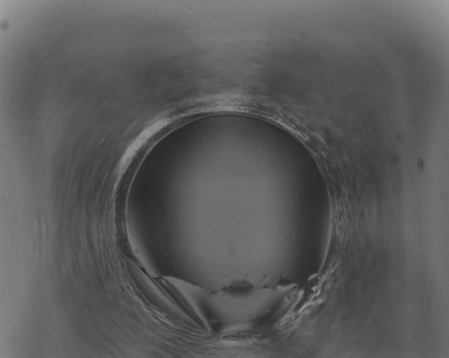 X0000068820200200605121324