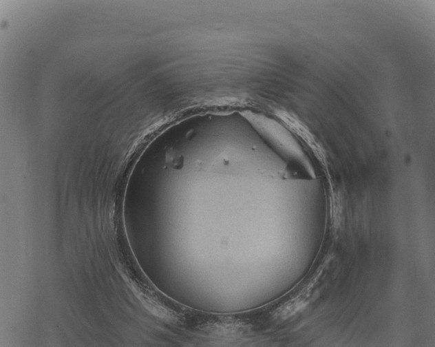 X0000068820201200605121324