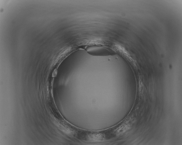 X0000068820202200605121324