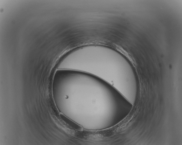 X0000068820203200605121324