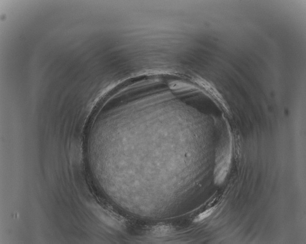 X0000068820204200605121324