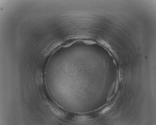 X0000068820205200605121324