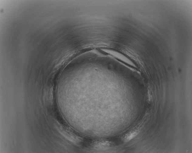 X0000068820206200605121324