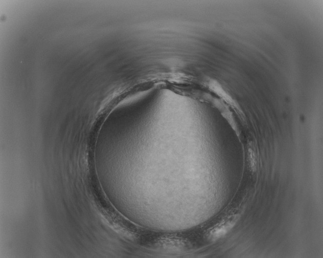 X0000068820207200605121324