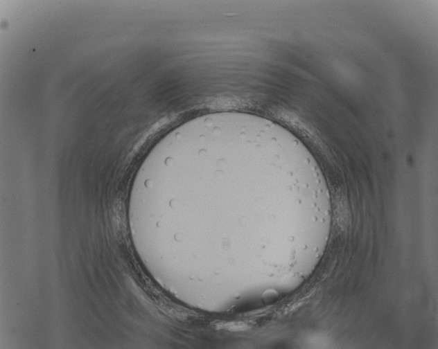 X0000068820208200605121324