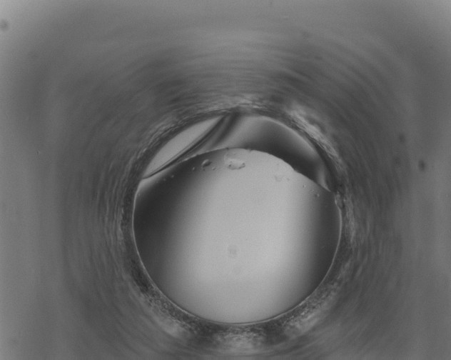 X0000068820209200605121324