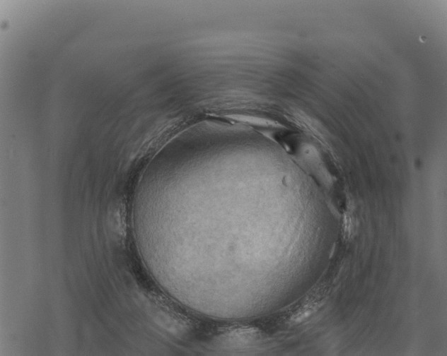 X0000068820210200605121324