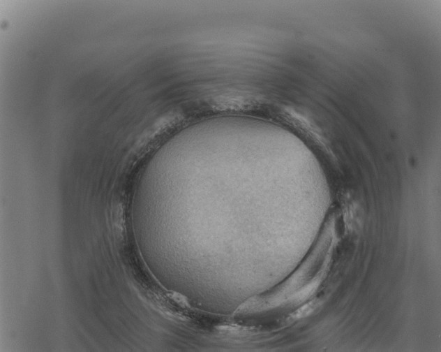 X0000068820211200605121324