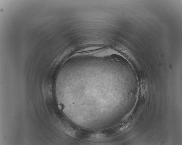 X0000068820212200605121324