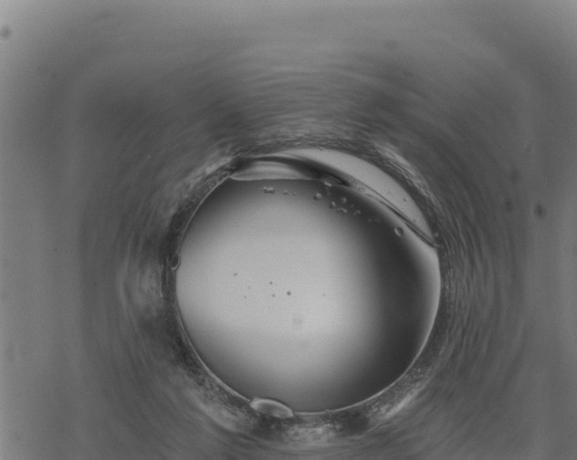 X0000068820213200605121324