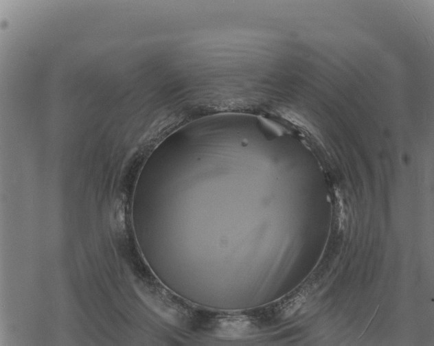 X0000068820214200605121324