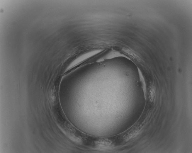 X0000068820215200605121324