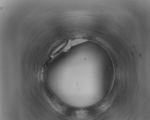 X0000068820216200605121324