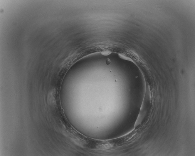 X0000068820217200605121324