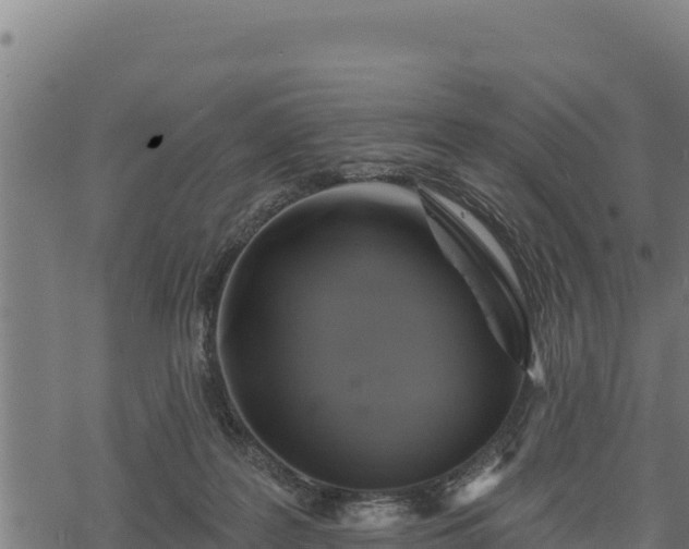 X0000068820219200605121324