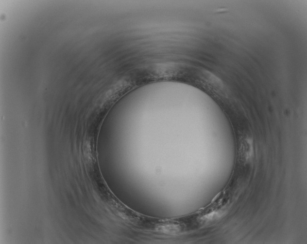 X0000068820220200605121324