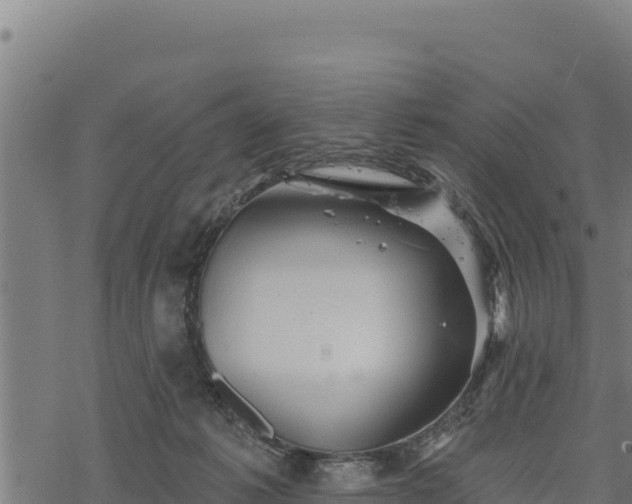 X0000068820221200605121324