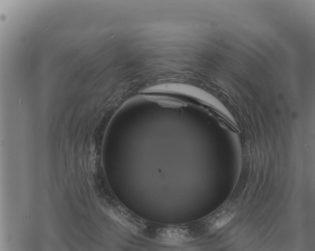 X0000068820223200605121324