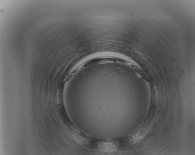 X0000068820224200605121324