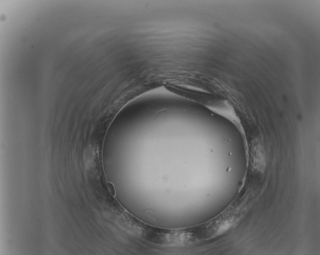 X0000068820225200605121324