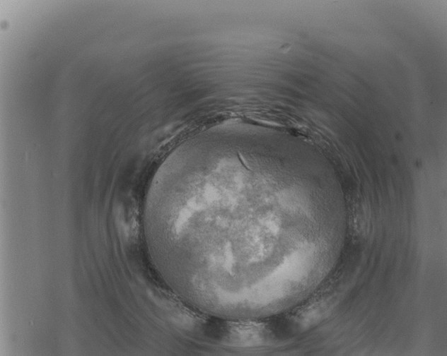 X0000068820226200605121324