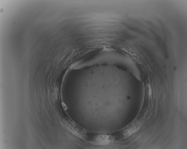 X0000068820227200605121324