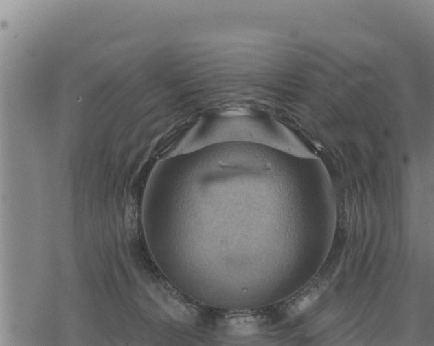 X0000068820228200605121324