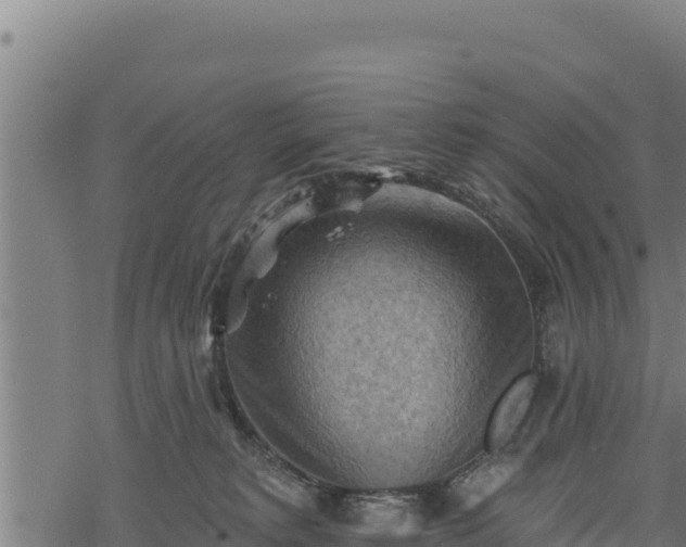 X0000068820229200605121324