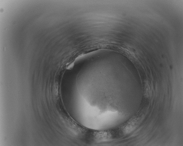 X0000068820230200605121324