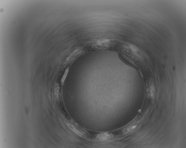 X0000068820231200605121324