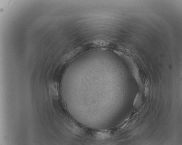 X0000068820232200605121324