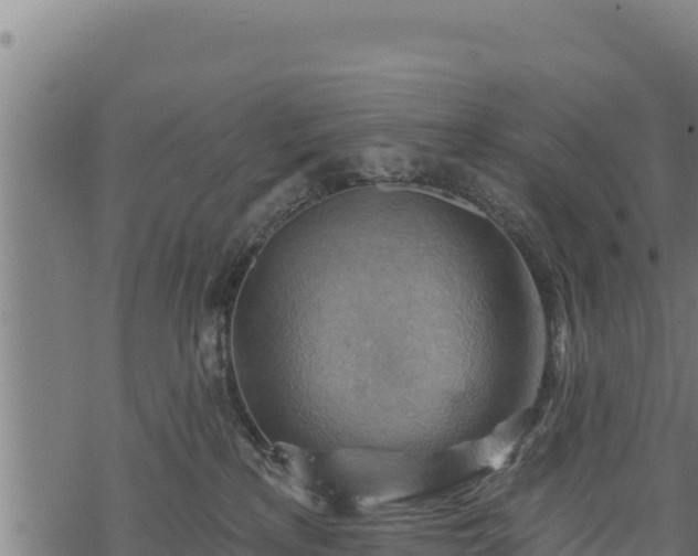 X0000068820233200605121324