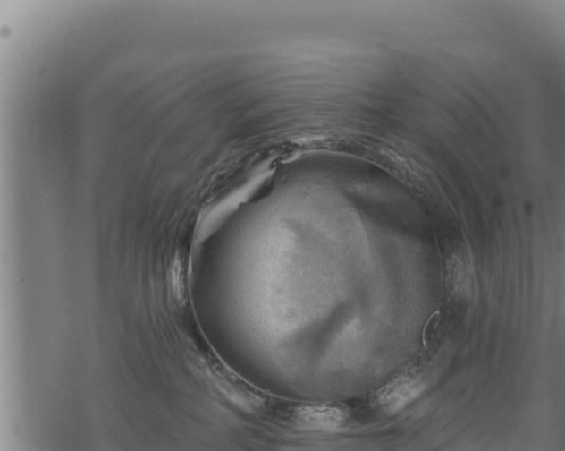 X0000068820234200605121324