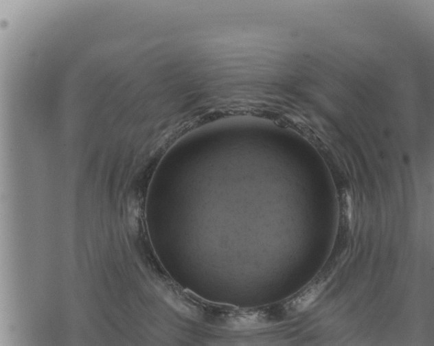 X0000068820235200605121324