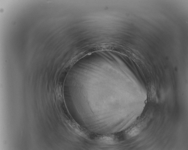 X0000068820236200605121324