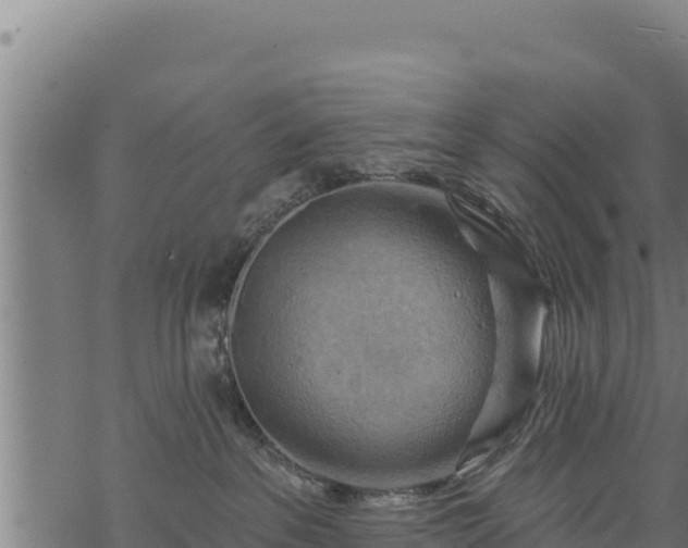 X0000068820237200605121324