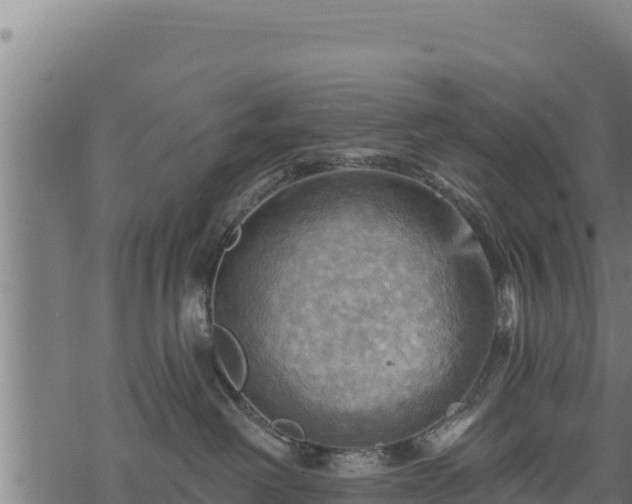 X0000068820238200605121324