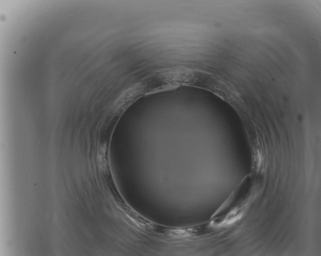 X0000068820239200605121324