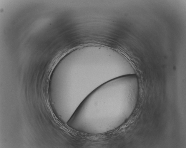 X0000068820241200605121323