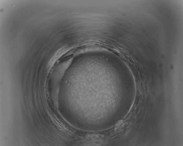 X0000068820242200605121323