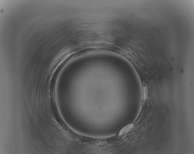 X0000068820243200605121323