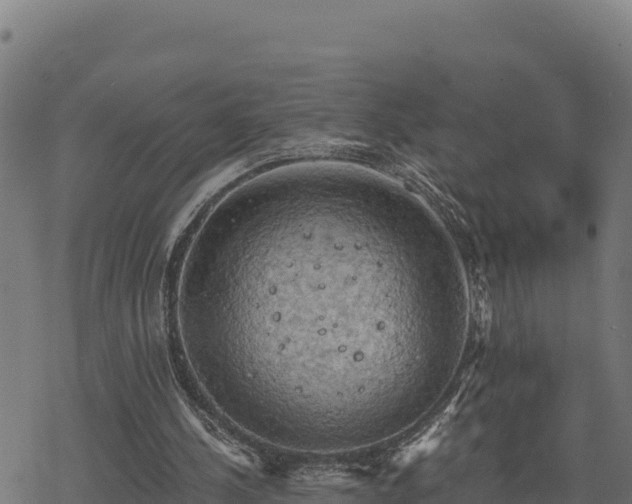 X0000068820244200605121323