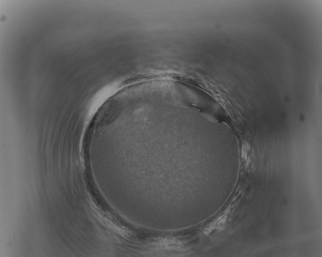 X0000068820246200605121323