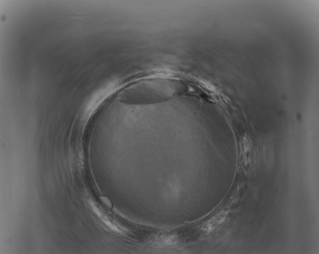 X0000068820247200605121323