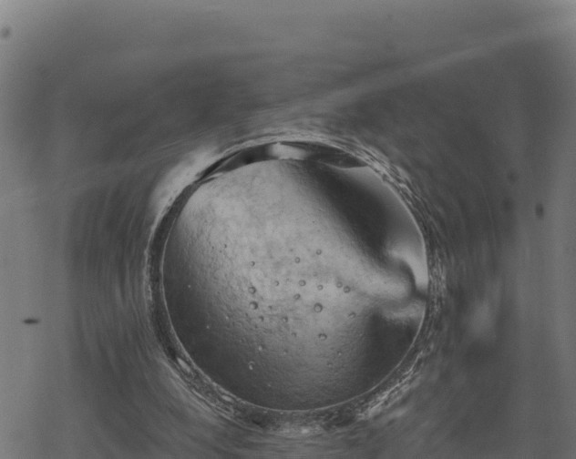 X0000068820248200605121323