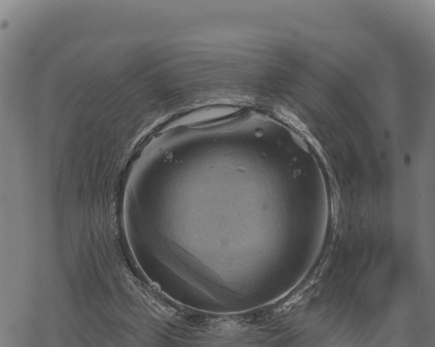 X0000068820249200605121323